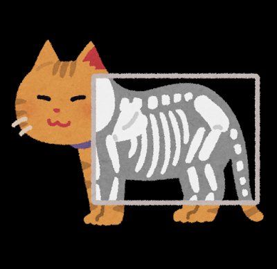 イメージ 7