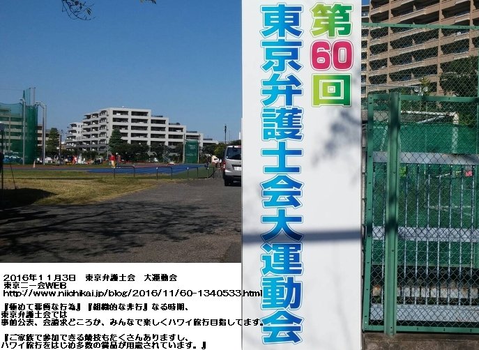 イメージ 7