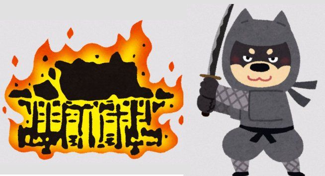 イメージ 8